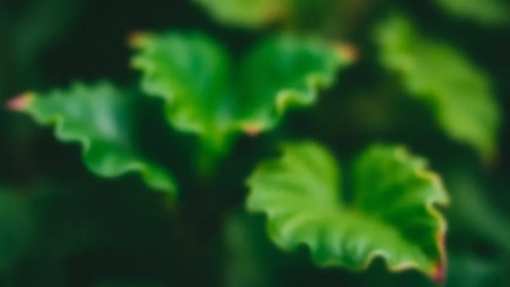 blurred antonyms