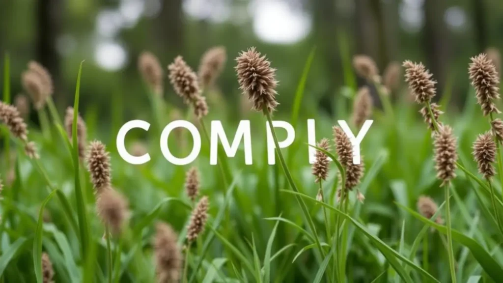 comply antonym