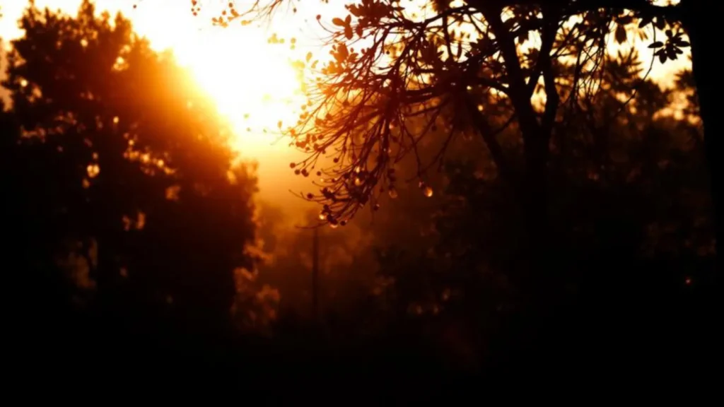 antonym for longing/passion