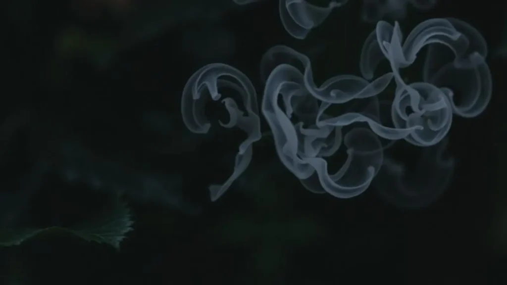antonym of smelly