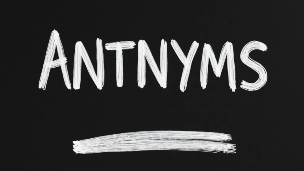 antonyms of pried