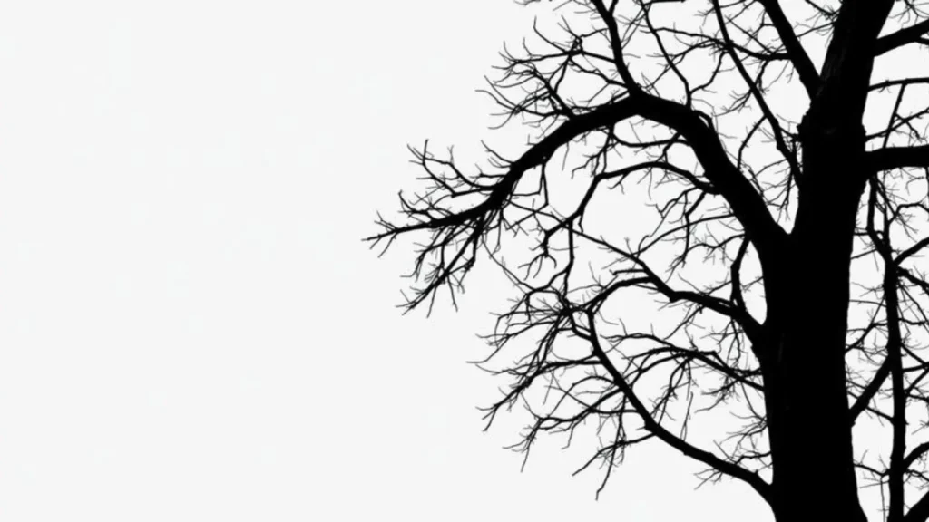 inherent antonym